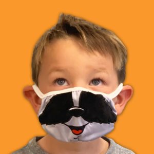 Raccoon AniMask